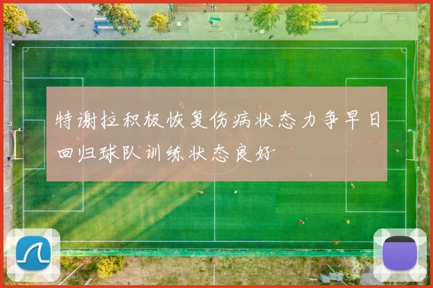 特谢拉积极恢复伤病状态力争早日回归球队训练状态良好